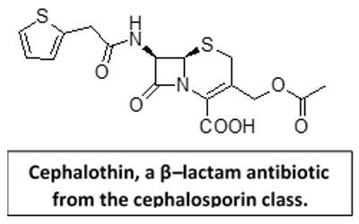 Chemical structure of the antibiotic cephalothin